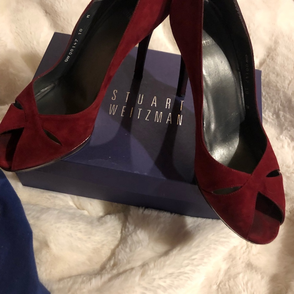 Stewart Weitzman  suede shoes